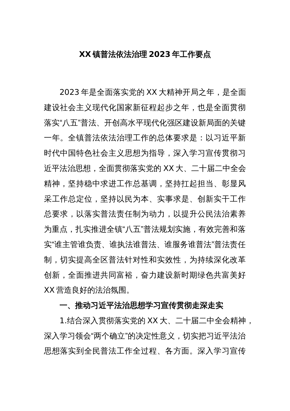 XX镇普法依法治理2023年工作要点_第1页