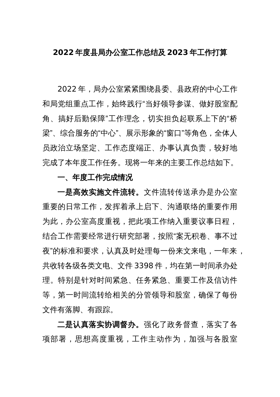 2022年度县局办公室工作总结及2023年工作打算_第1页