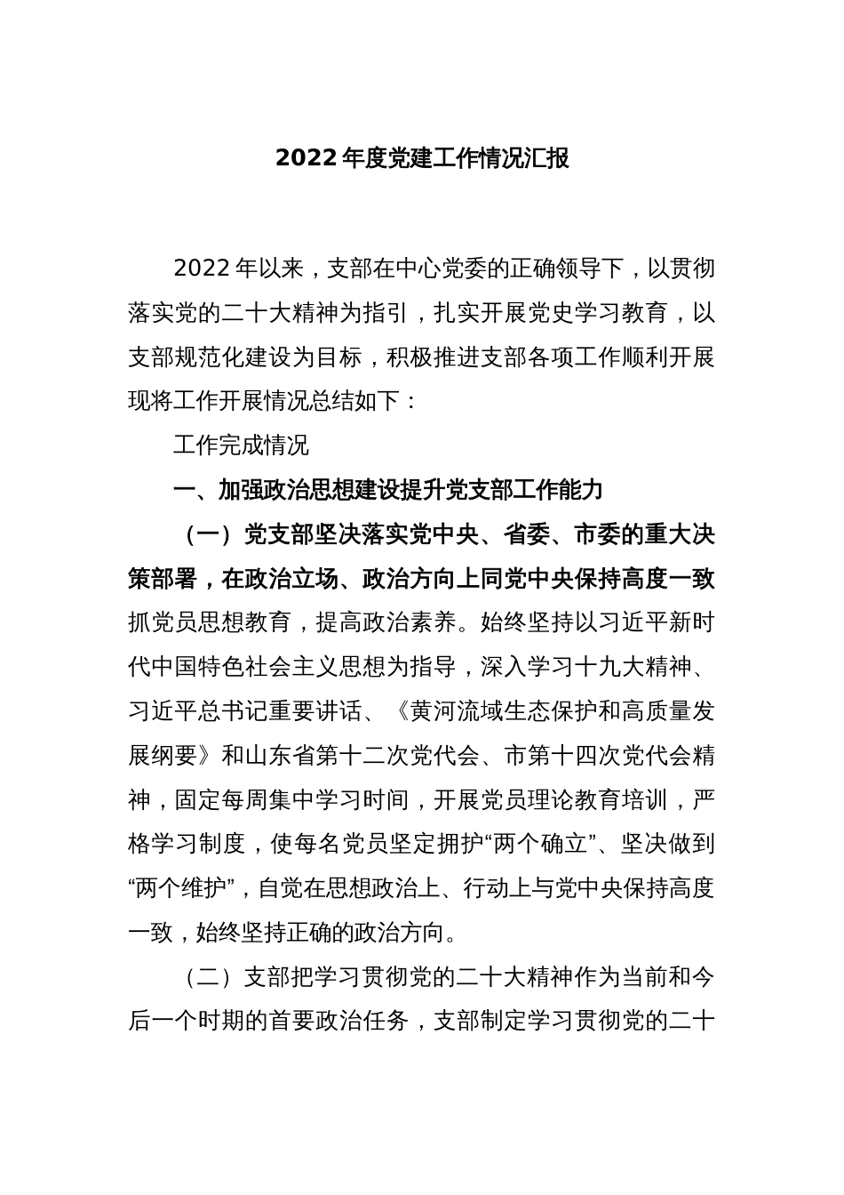 2022年度党建工作情况汇报_第1页