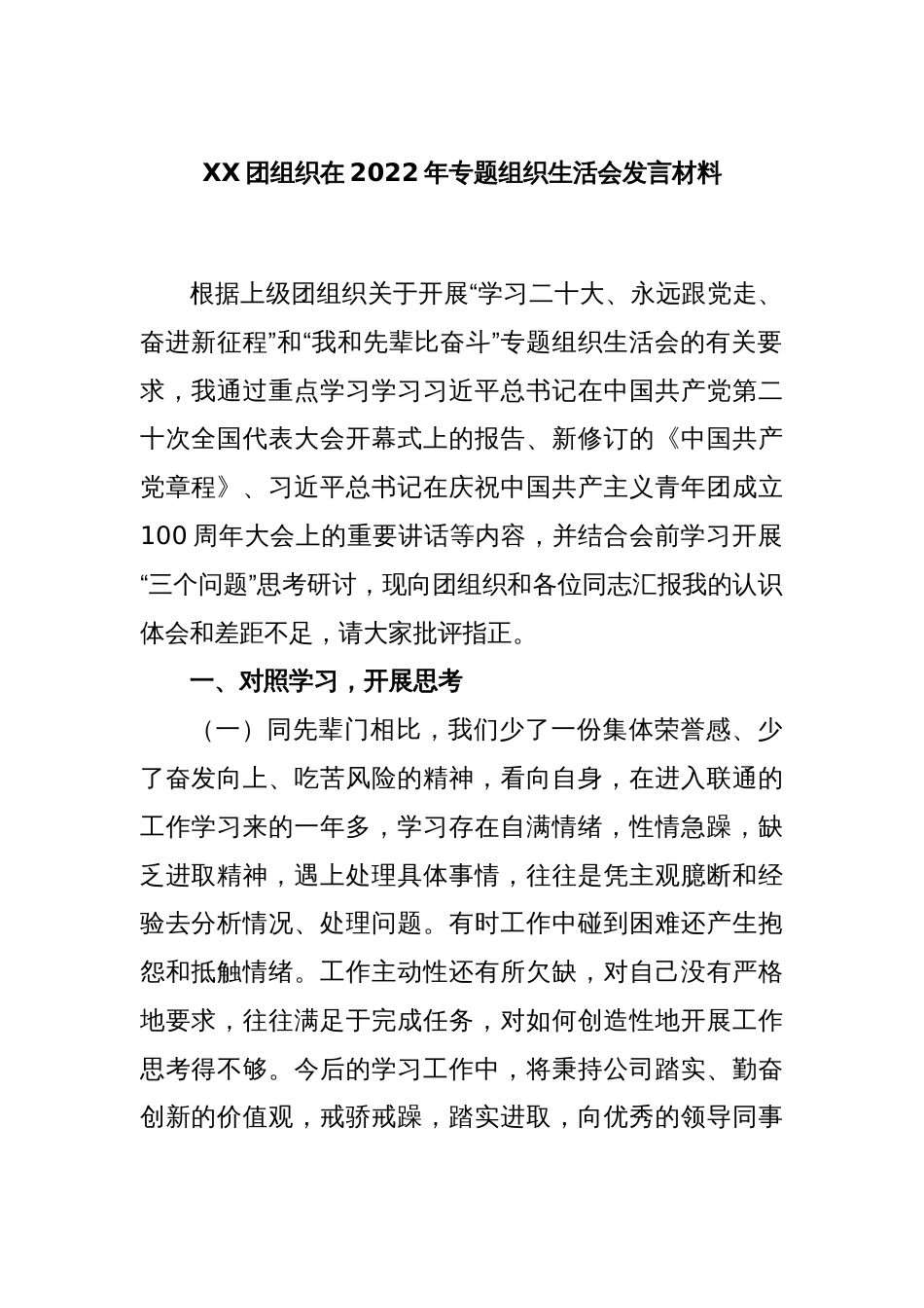 XX团组织在2022年专题组织生活会发言材料_第1页