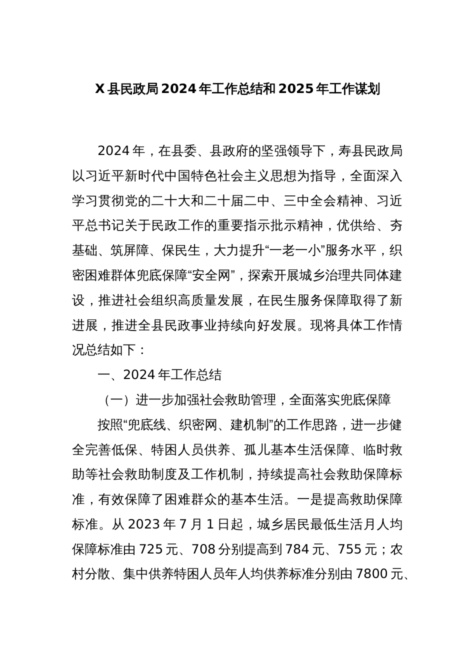 X县民政局2024年工作总结和2025年工作谋划_第1页