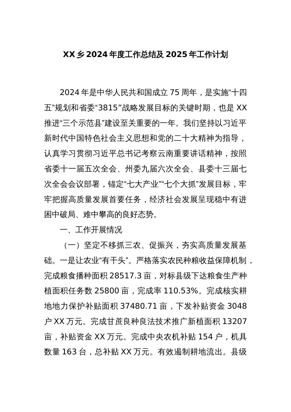 XX乡2024年度工作总结及2025年工作计划_第1页