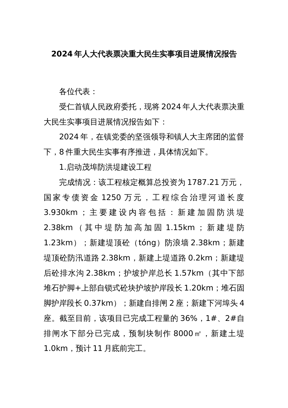 2024年人大代表票决重大民生实事项目进展情况报告_第1页