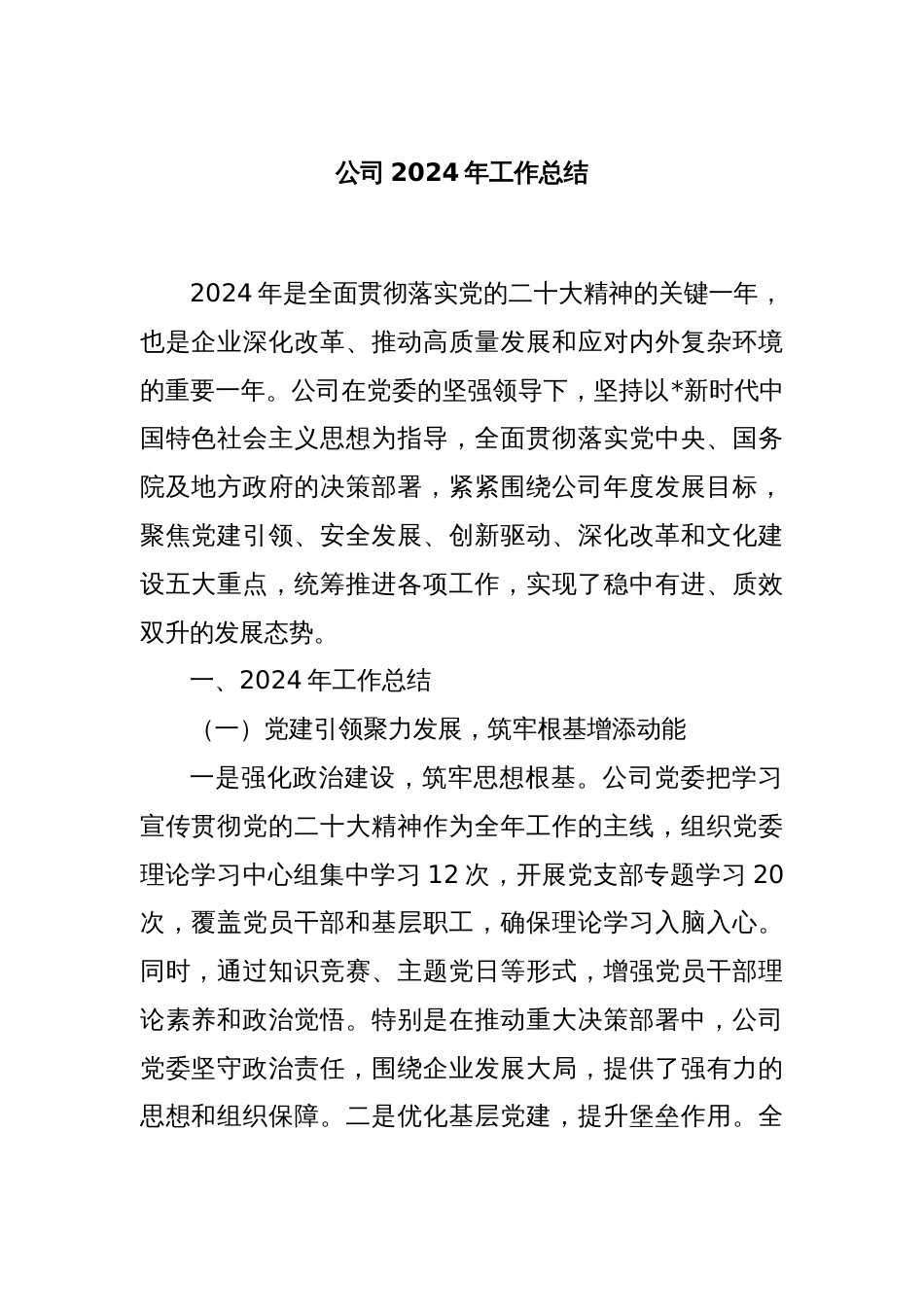 公司2024年工作总结_第1页