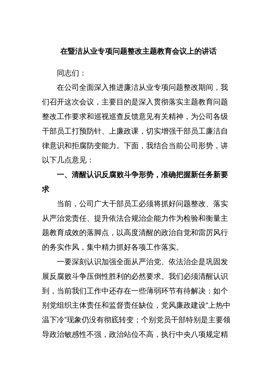 在暨洁从业专项问题整改主题教育会议上的讲话_第1页