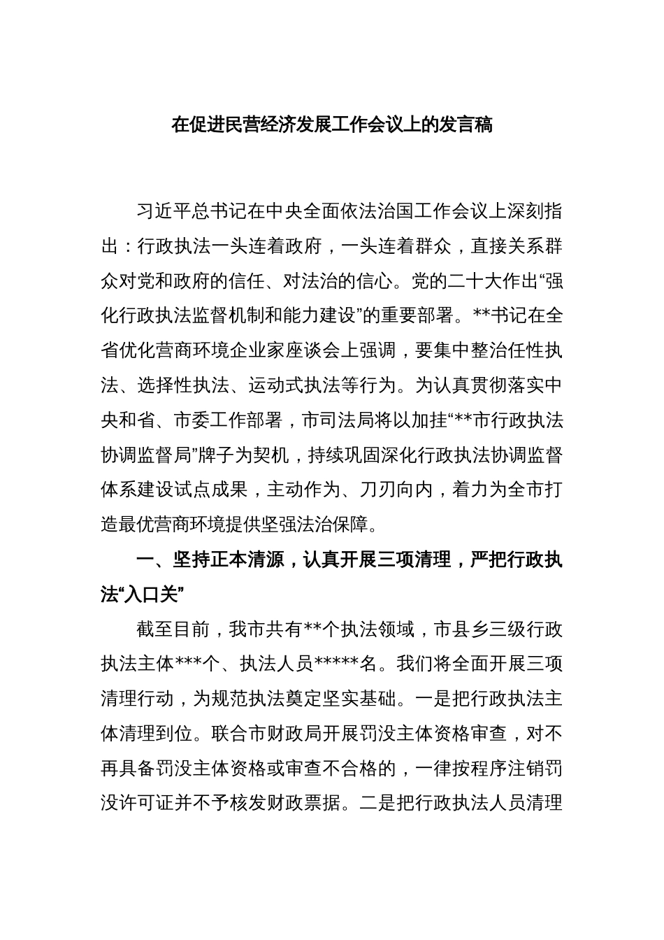 在促进民营经济发展工作会议上的发言稿_第1页