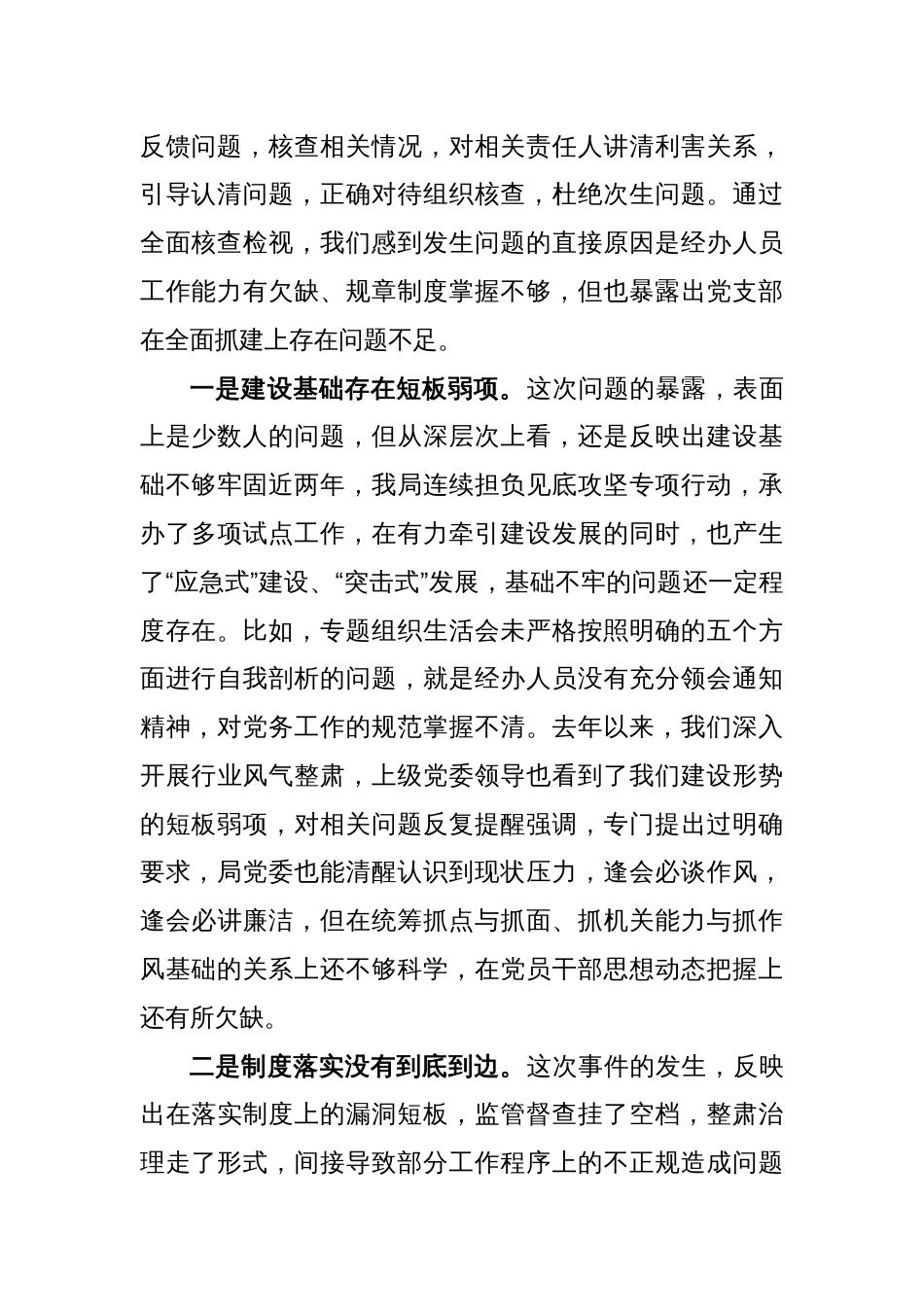 关于巡视反馈问题的检查总结_第2页