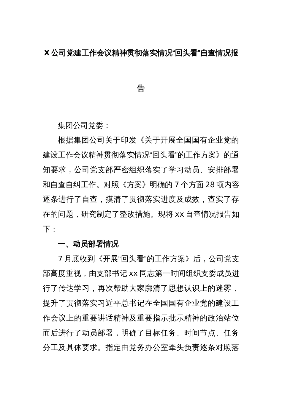 X公司党建工作会议精神贯彻落实情况“回头看”自查情况报告_第1页