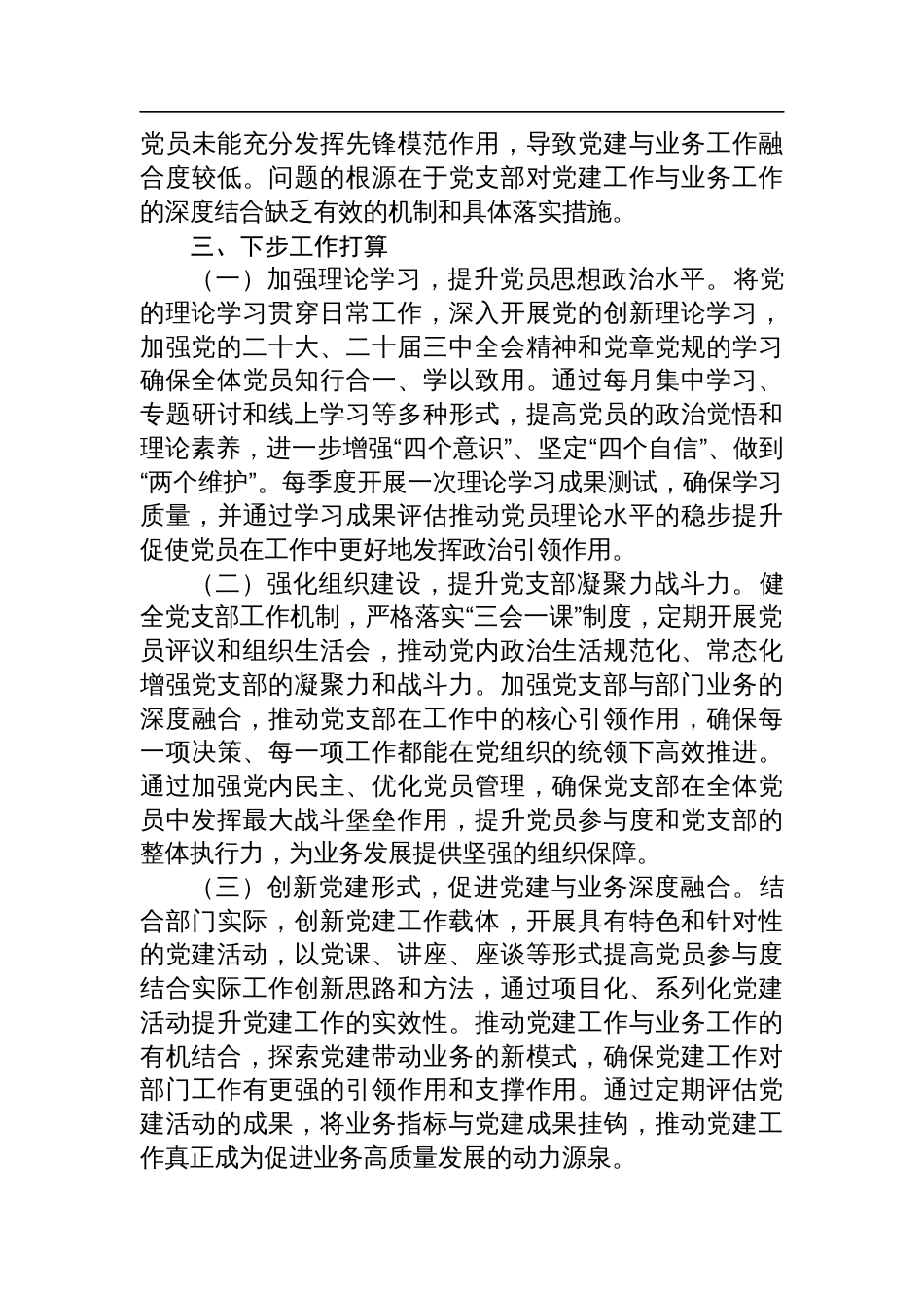 2024年度党支部书记抓党建工作述职报告_第3页