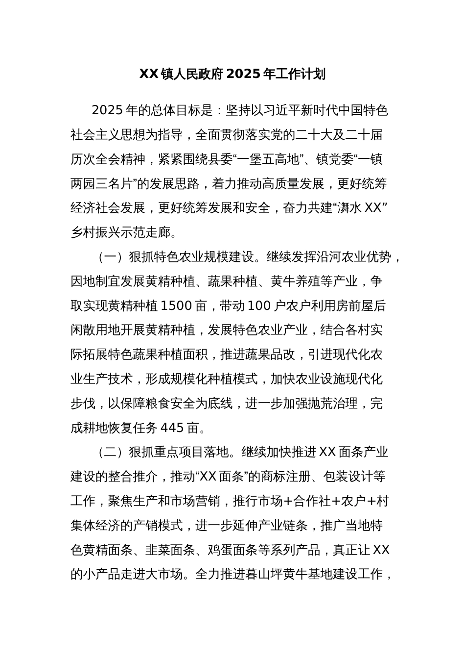 XX镇人民政府2025年工作计划_第1页