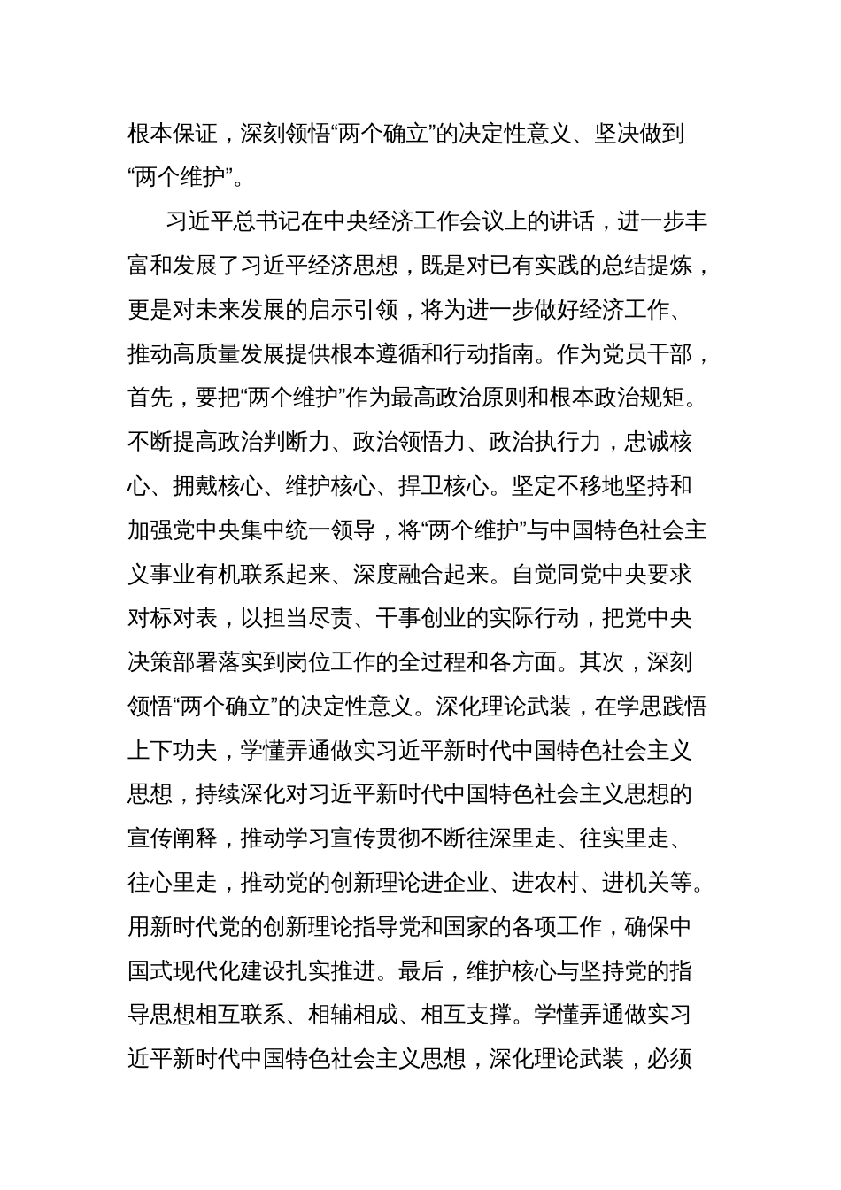 学习贯彻中央经济工作会议精神交流发言_第2页