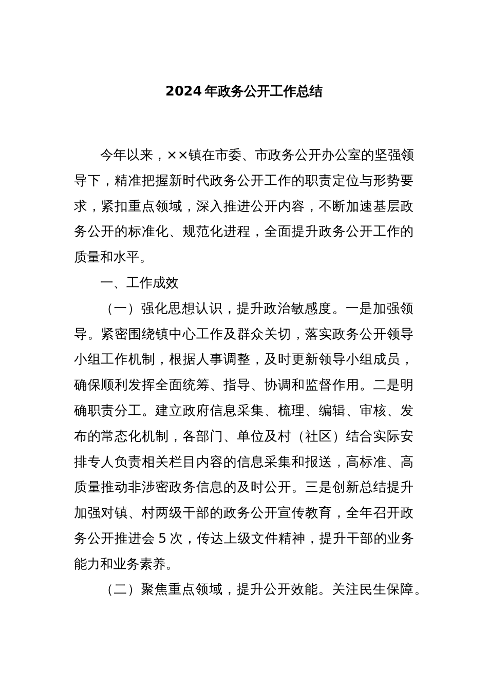 2024年政务公开工作总结_第1页