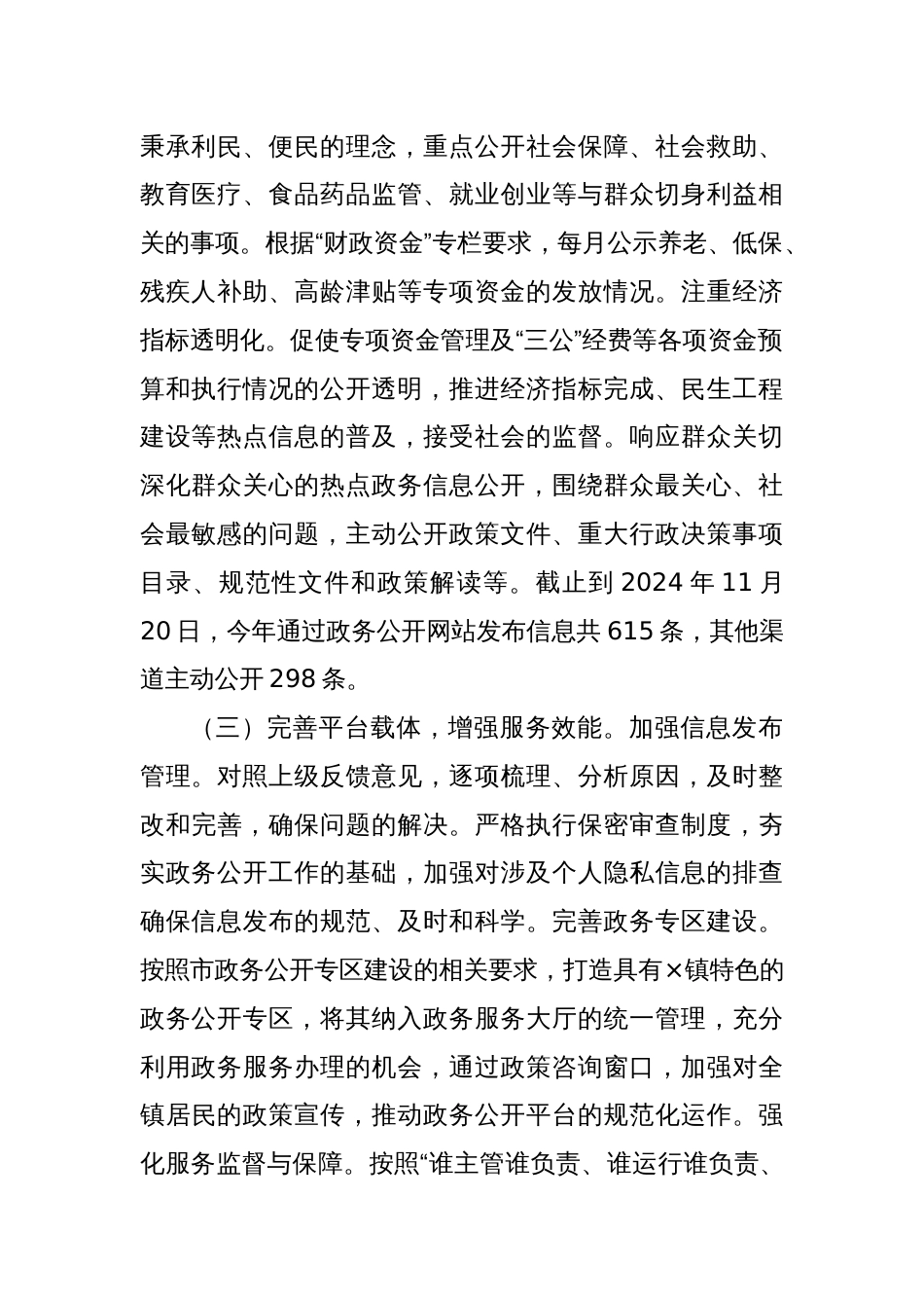 2024年政务公开工作总结_第2页