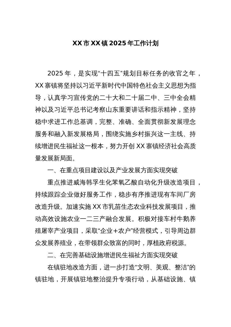 XX市XX镇2025年工作计划_第1页