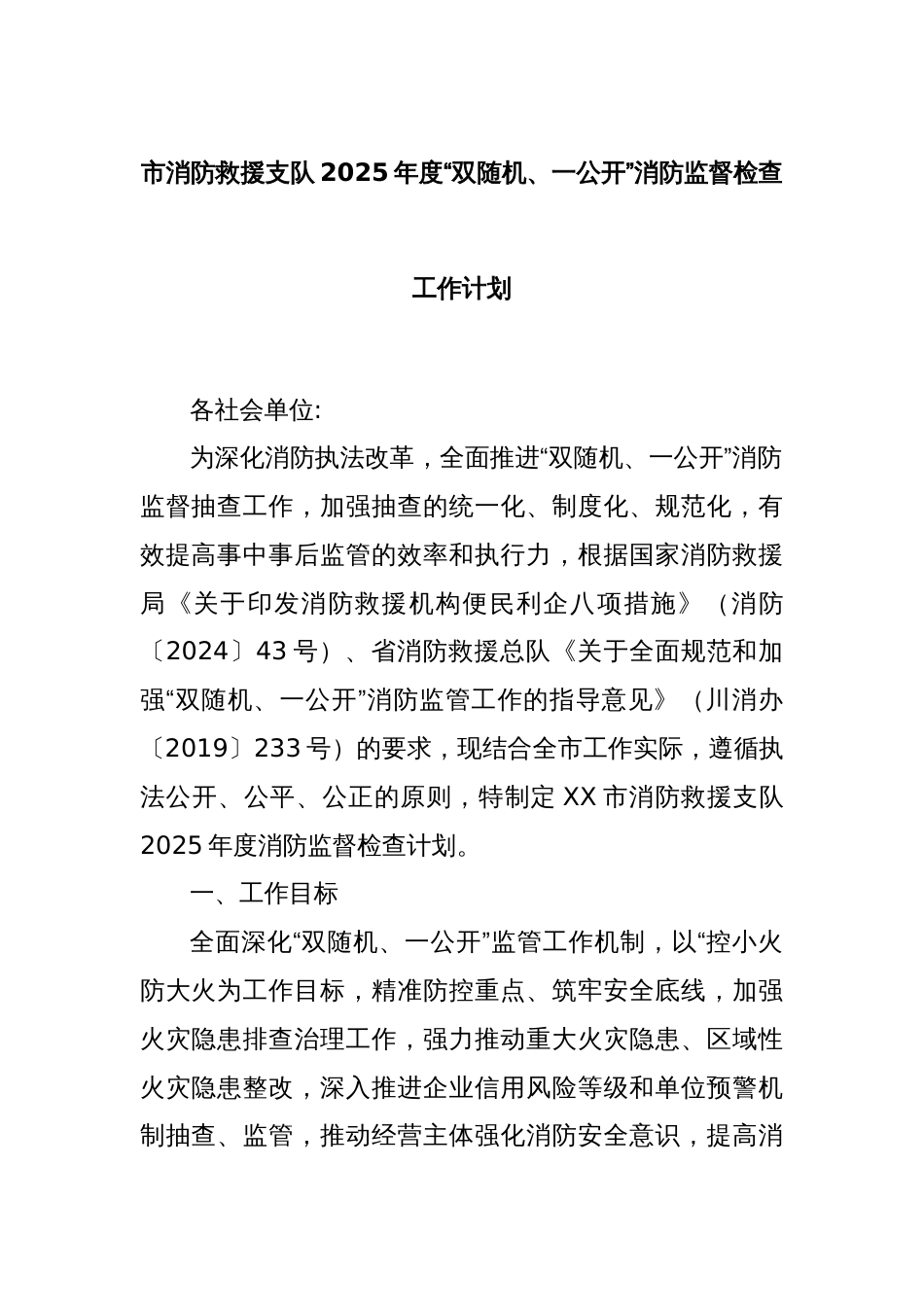 市消防救援支队2025年度“双随机、一公开”消防监督检查工作计划_第1页