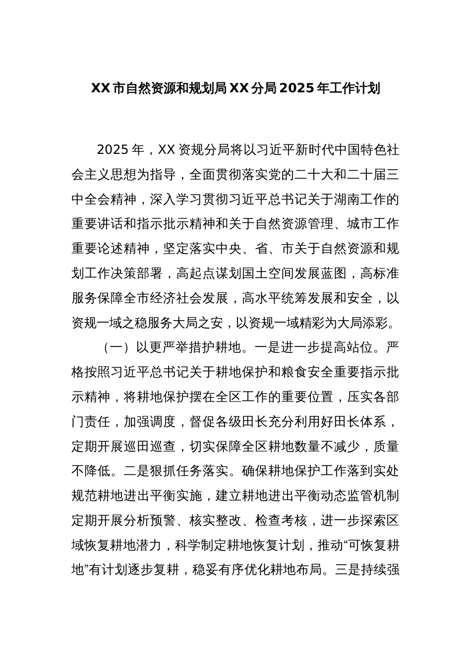 XX市自然资源和规划局XX分局2025年工作计划_第1页