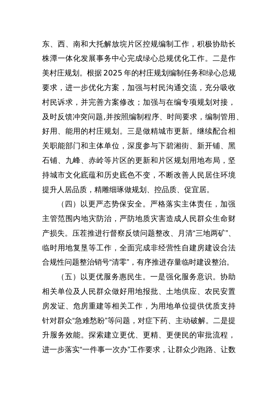 XX市自然资源和规划局XX分局2025年工作计划_第3页