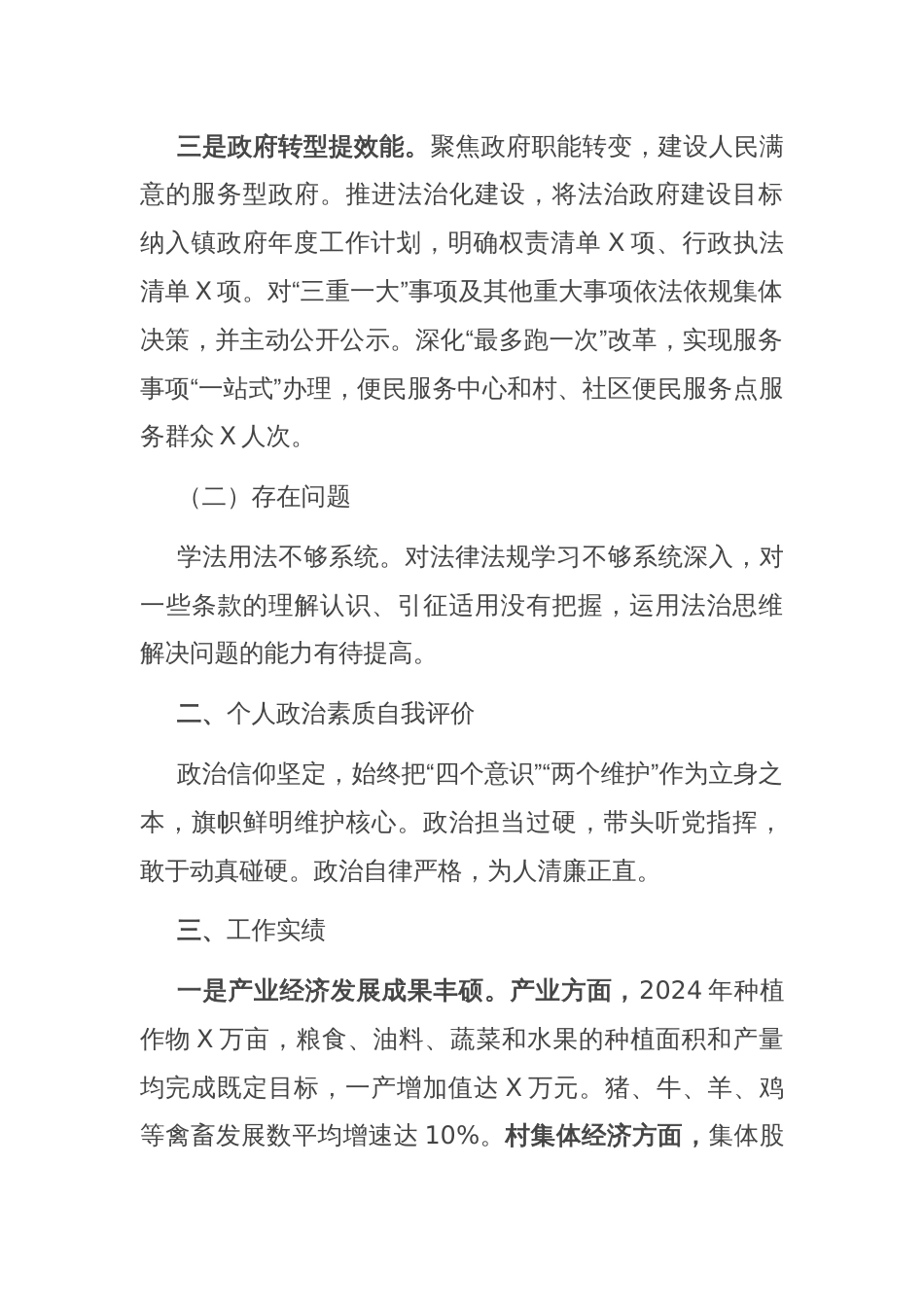 乡镇长2024年度述职报告_第2页