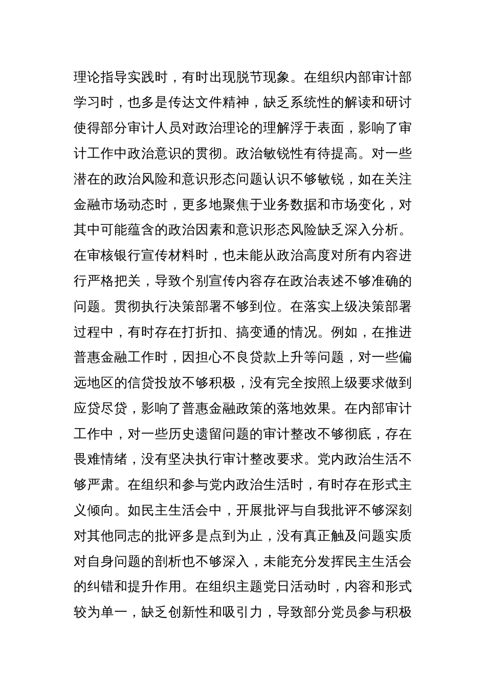 农商银行党委书记2024年度民主生活会个人对照检视发言材料_第2页