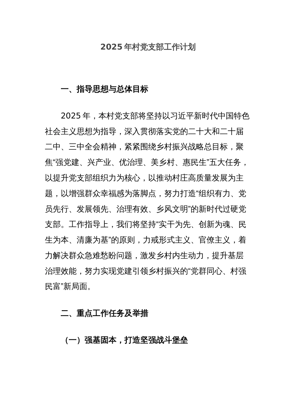 2025年村党支部工作计划_第1页