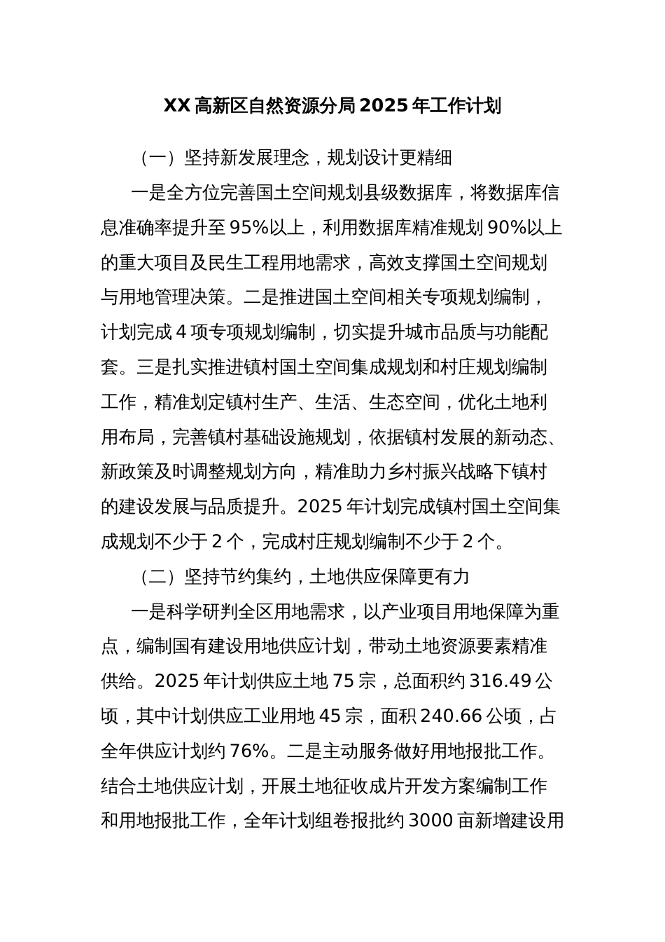 XX高新区自然资源分局2025年工作计划_第1页