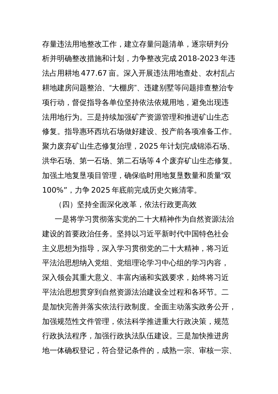 XX高新区自然资源分局2025年工作计划_第3页