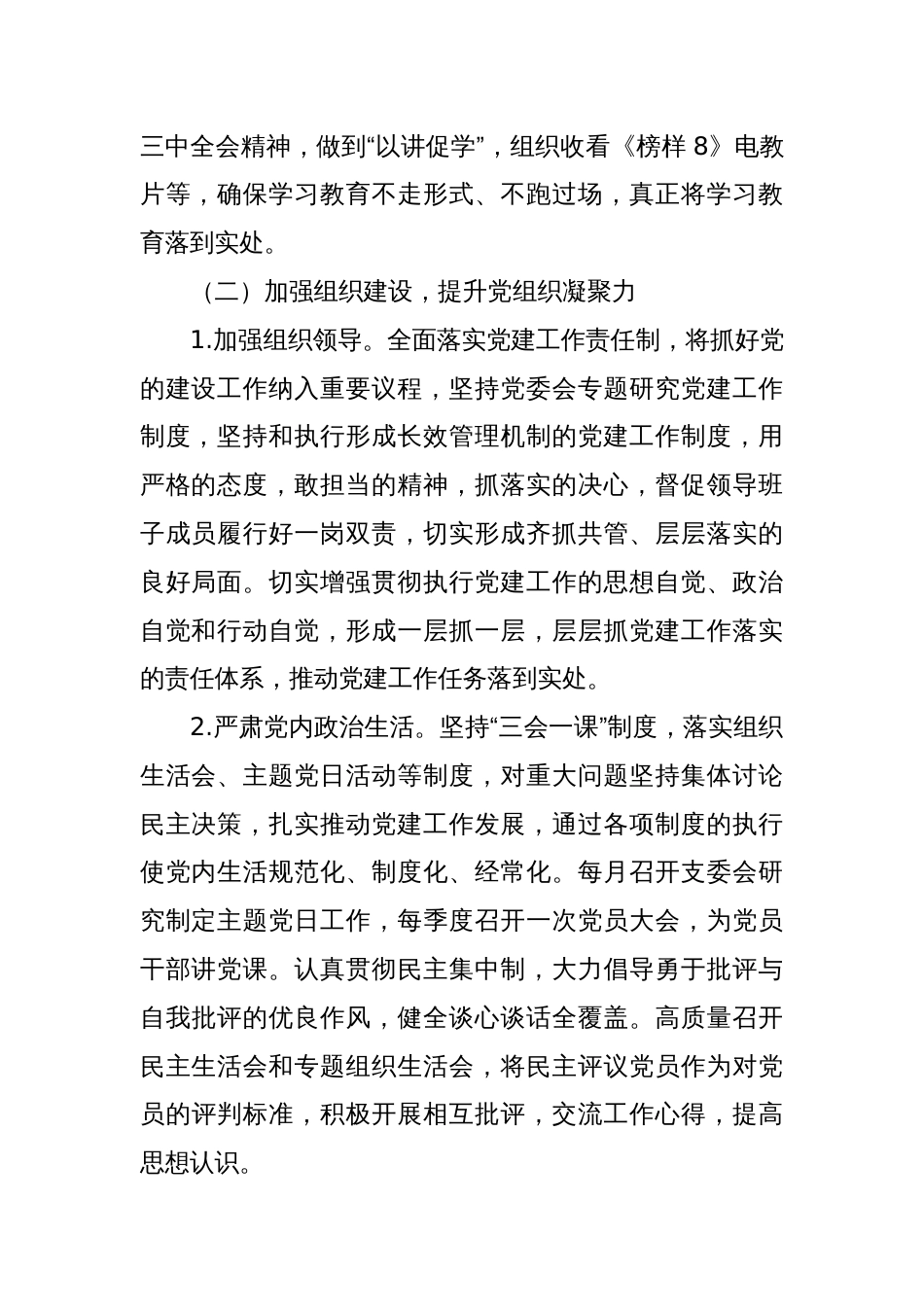 xx镇2024年度基层党建工作总结_第2页