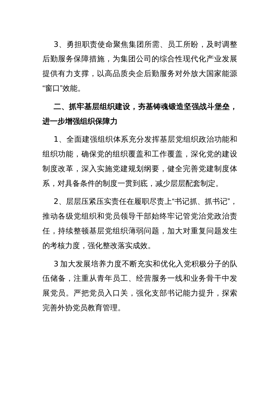 2025年公司党的建设工作要点_第2页