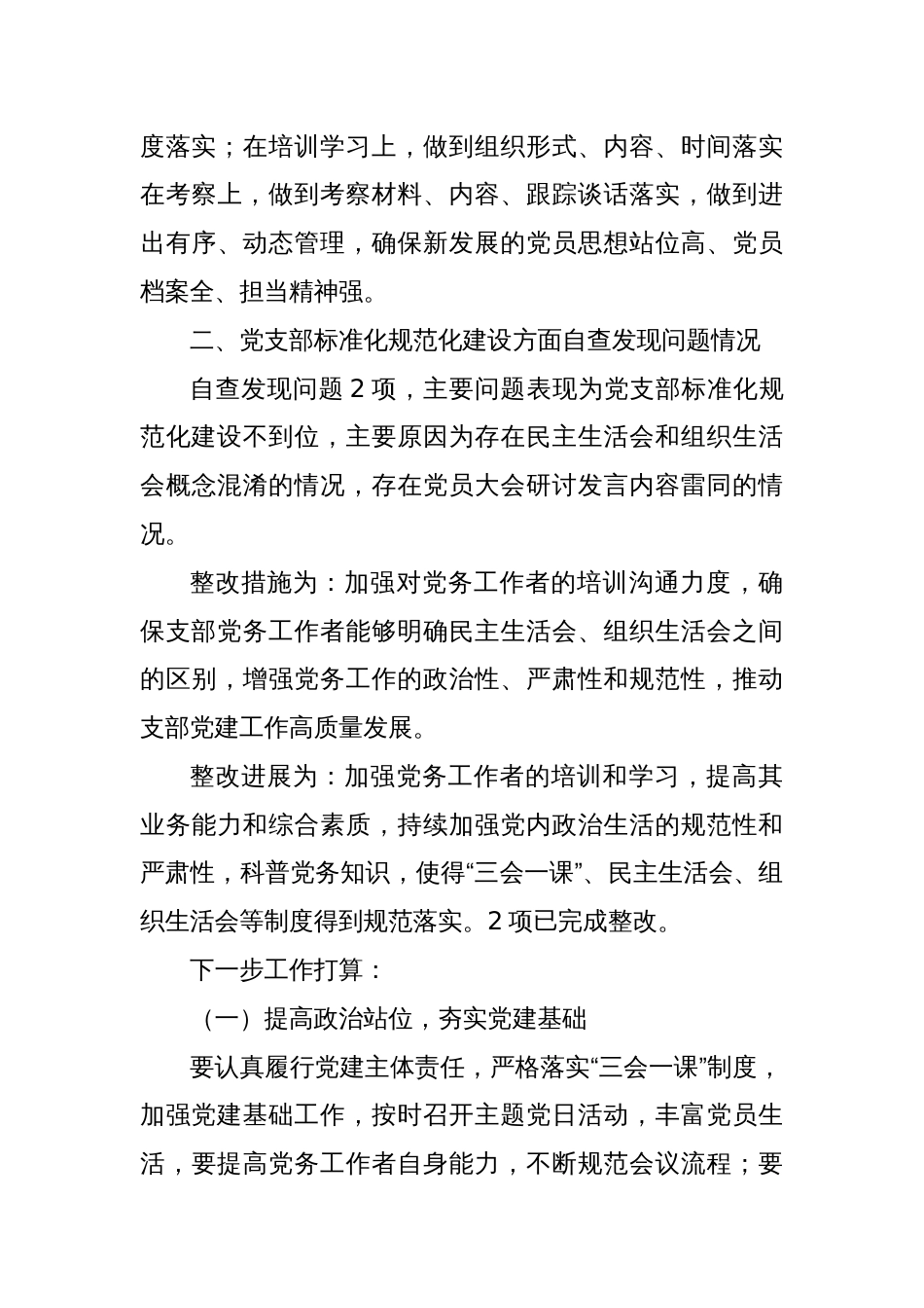 XX公司基层党组织建设自查整改情况报告（包含发展党员、党支部标准化规范化方面）_第3页