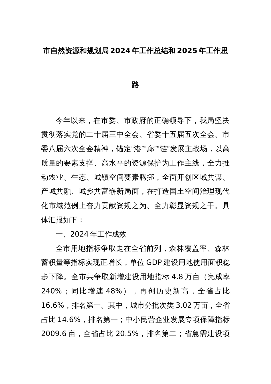 市自然资源和规划局2024年工作总结和2025年工作思路_第1页