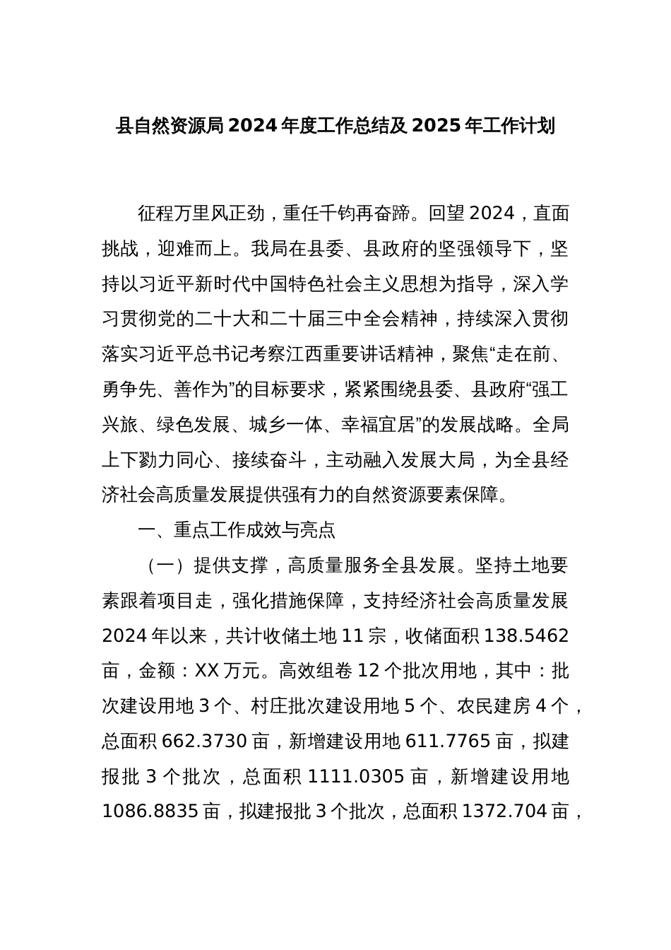 县自然资源局2024年度工作总结及2025年工作计划_第1页