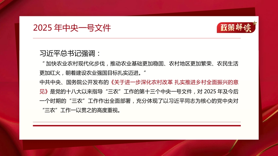 2025年中央一号文件政策解读PPT课件_第2页