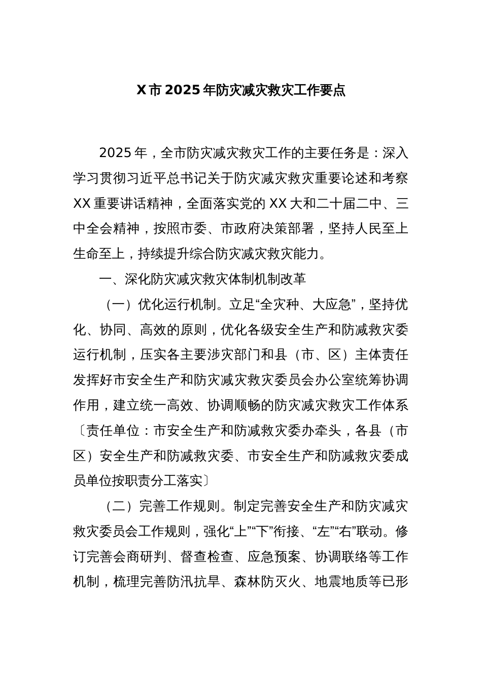 X市2025年防灾减灾救灾工作要点_第1页