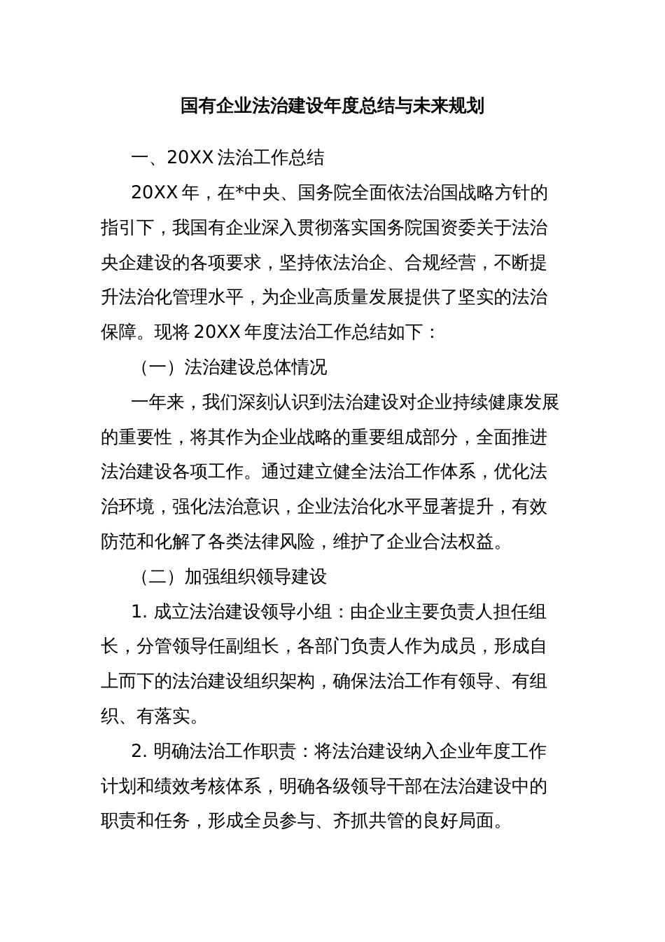 国有企业法治建设年度总结与未来规划_第1页