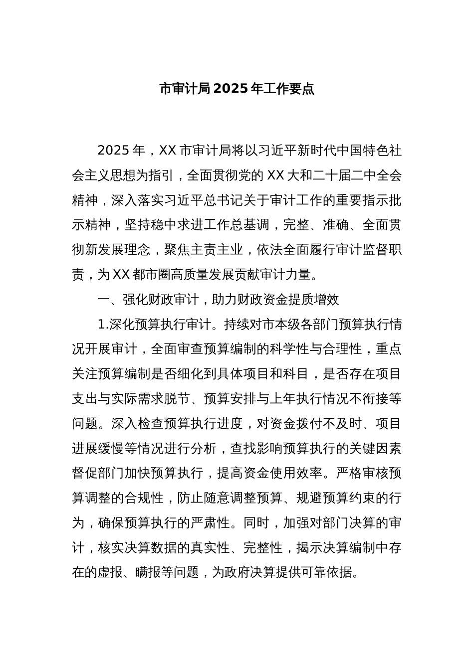 市审计局2025年工作要点_第1页