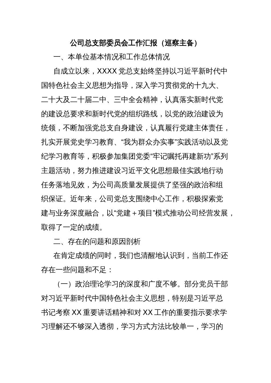 公司总支部委员会工作汇报（巡察主备）_第1页