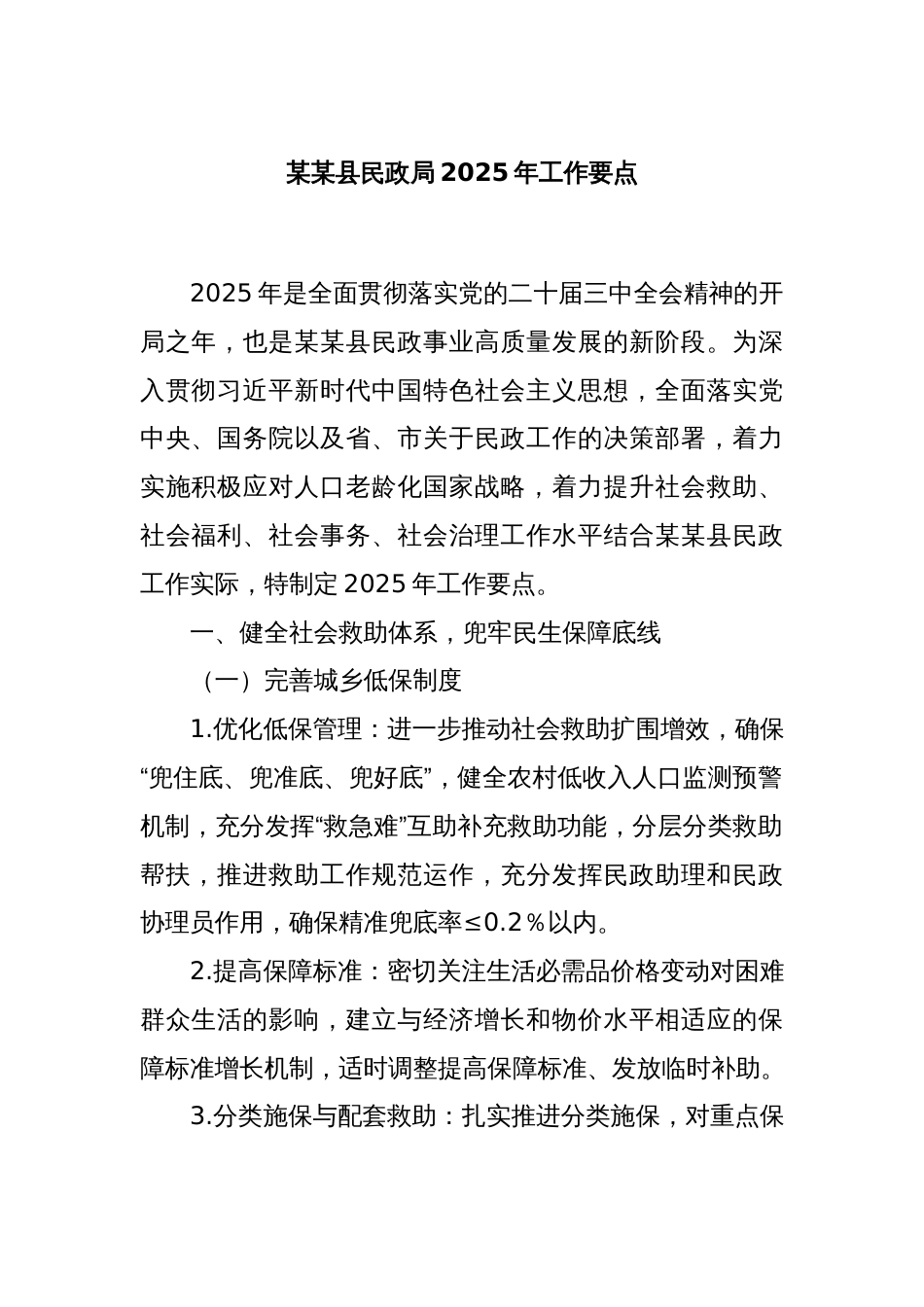 某某县民政局2025年工作要点_第1页