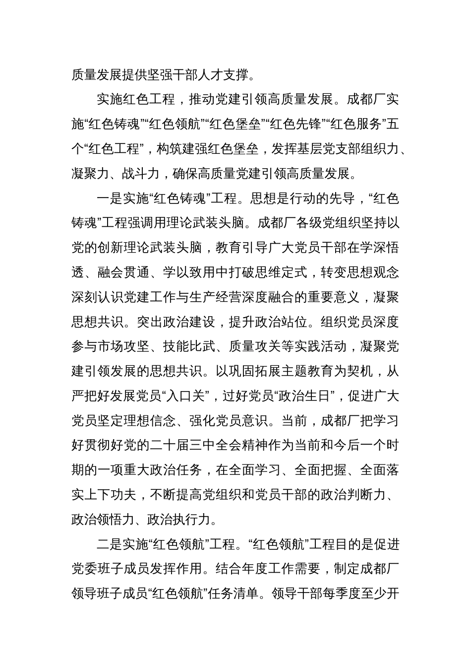 强化党建引领 凝聚发展力量_第3页