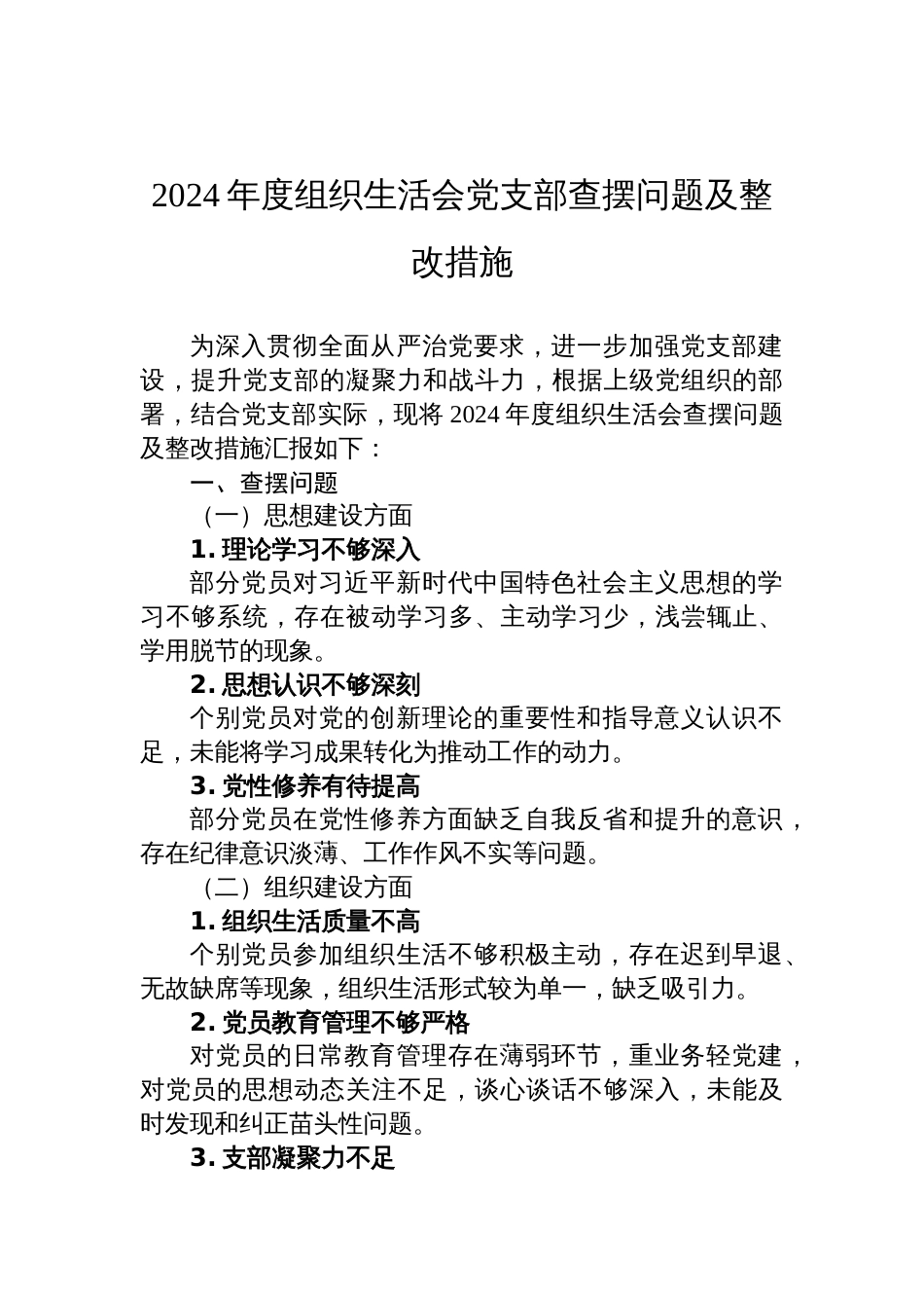2024年度组织生活会党支部查摆问题及整改措施材料_第1页