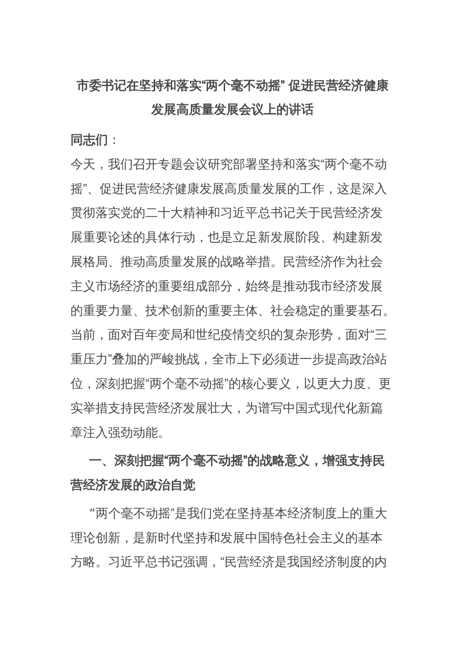 市委书记在坚持和落实“两个毫不动摇” 促进民营经济健康发展高质量发展会议上的讲话_第1页