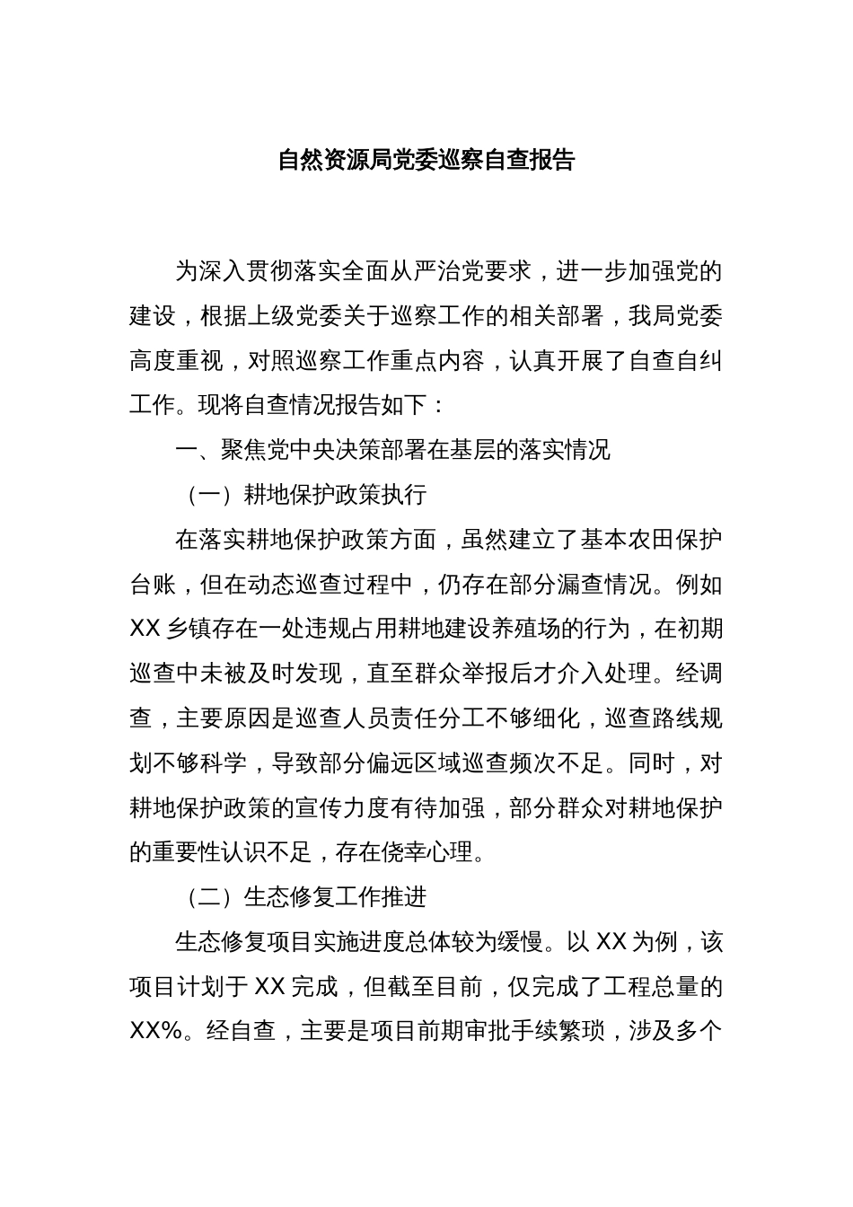自然资源局党委巡察自查报告_第1页