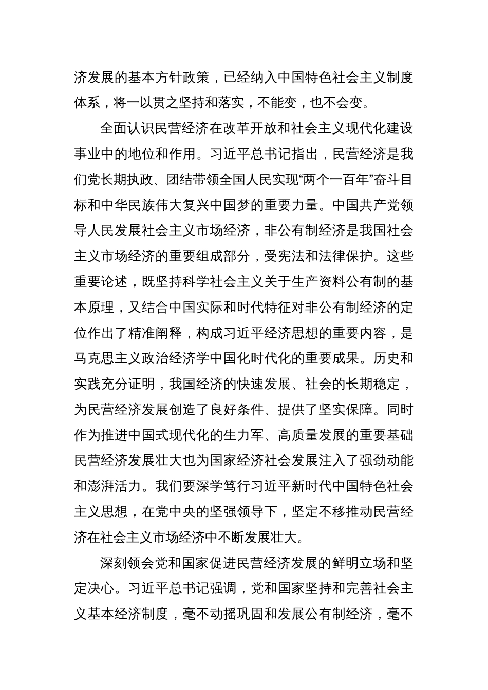 研讨发言：新时代新征程民营经济发展前景广阔大有可为_第2页