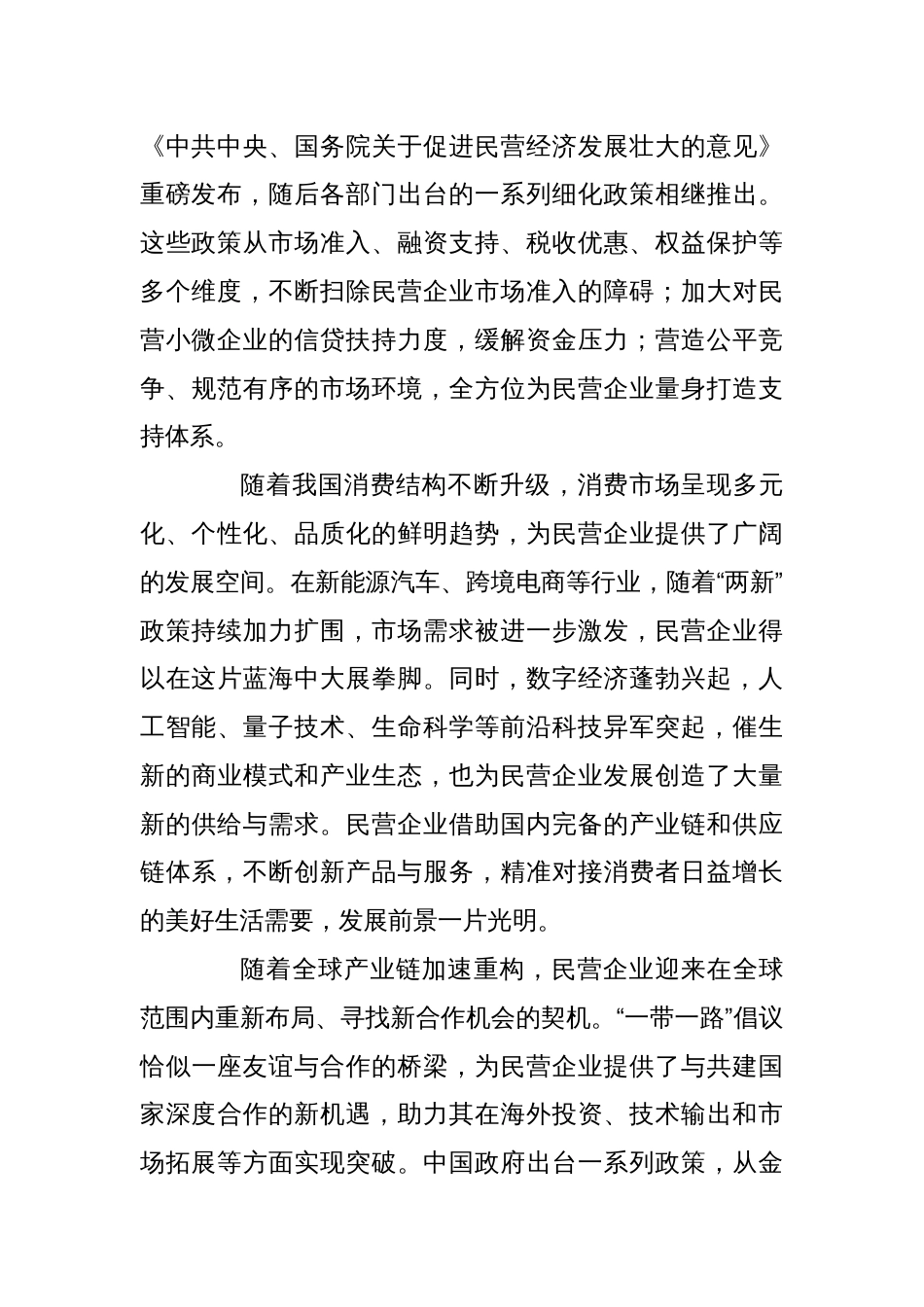 研讨发言：民营经济发展前景广阔大有可为_第2页