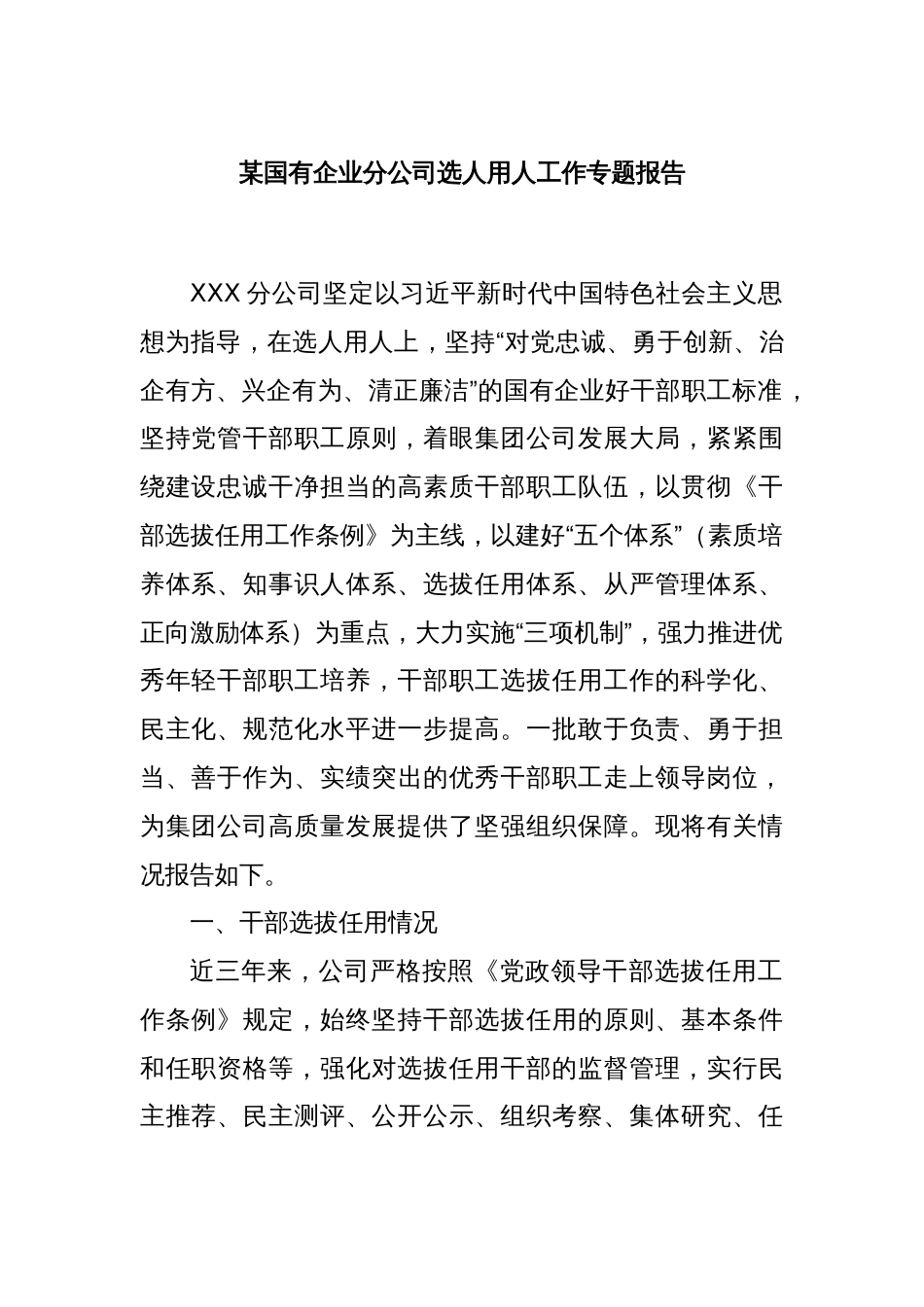 某国有企业分公司选人用人工作专题报告_第1页