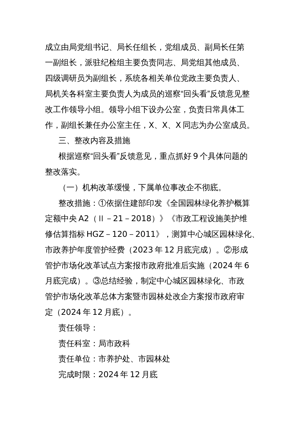 城市管理执法局党组落实市委巡察组巡察＂回头看＂反馈意见的整改工作方案_第2页