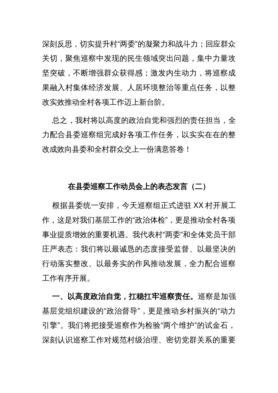 (2篇)在县委巡察工作动员会上的表态发言_第3页