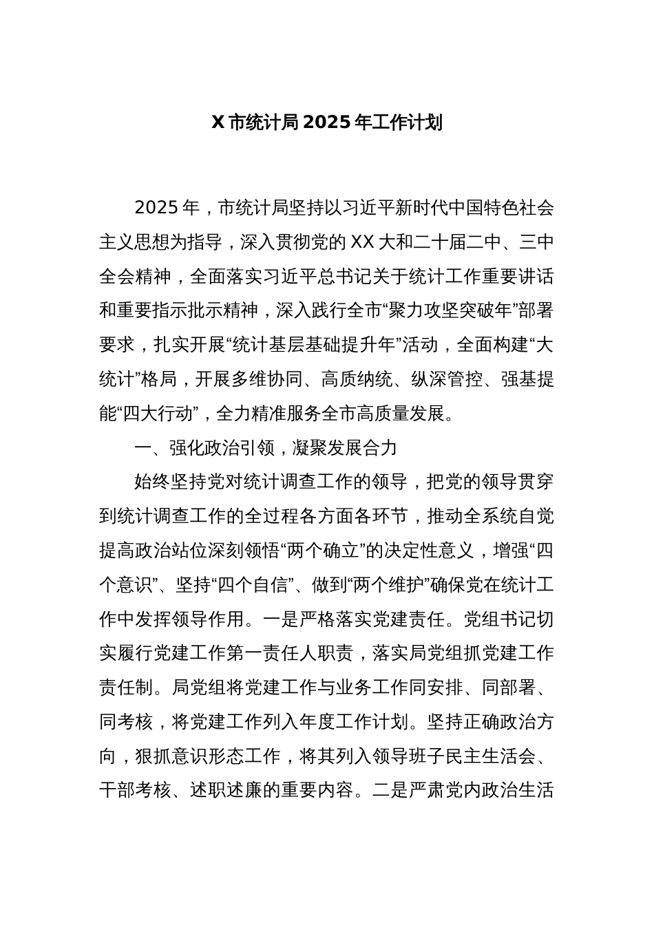 X市统计局2025年工作计划_第1页