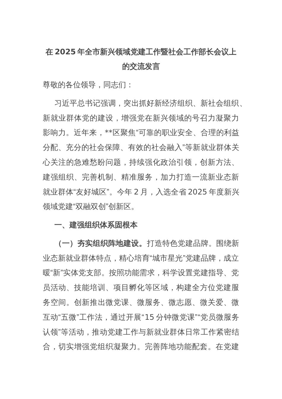 在2025年全市新兴领域党建工作暨社会工作部长会议上的交流发言_第1页