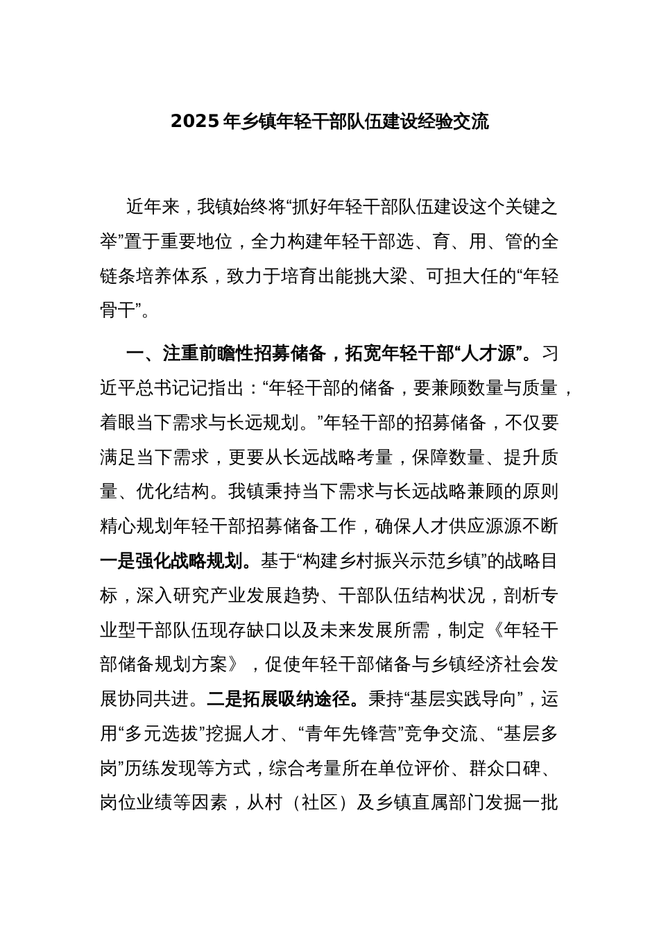 2025年乡镇年轻干部队伍建设经验交流_第1页