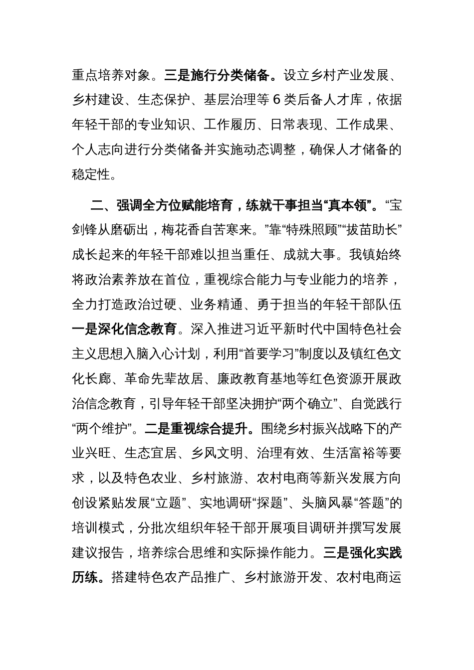 2025年乡镇年轻干部队伍建设经验交流_第2页